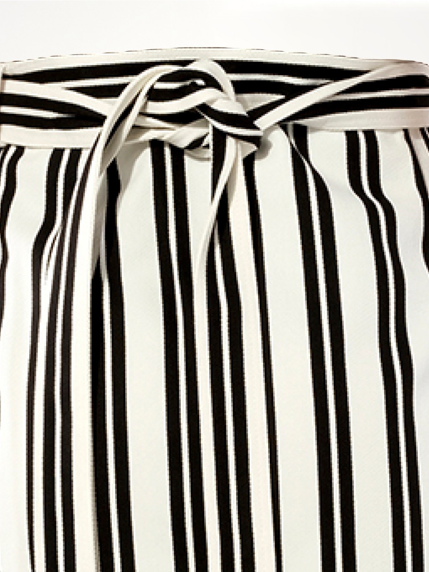 BALENCIAGA Chilie Skirt (Black)