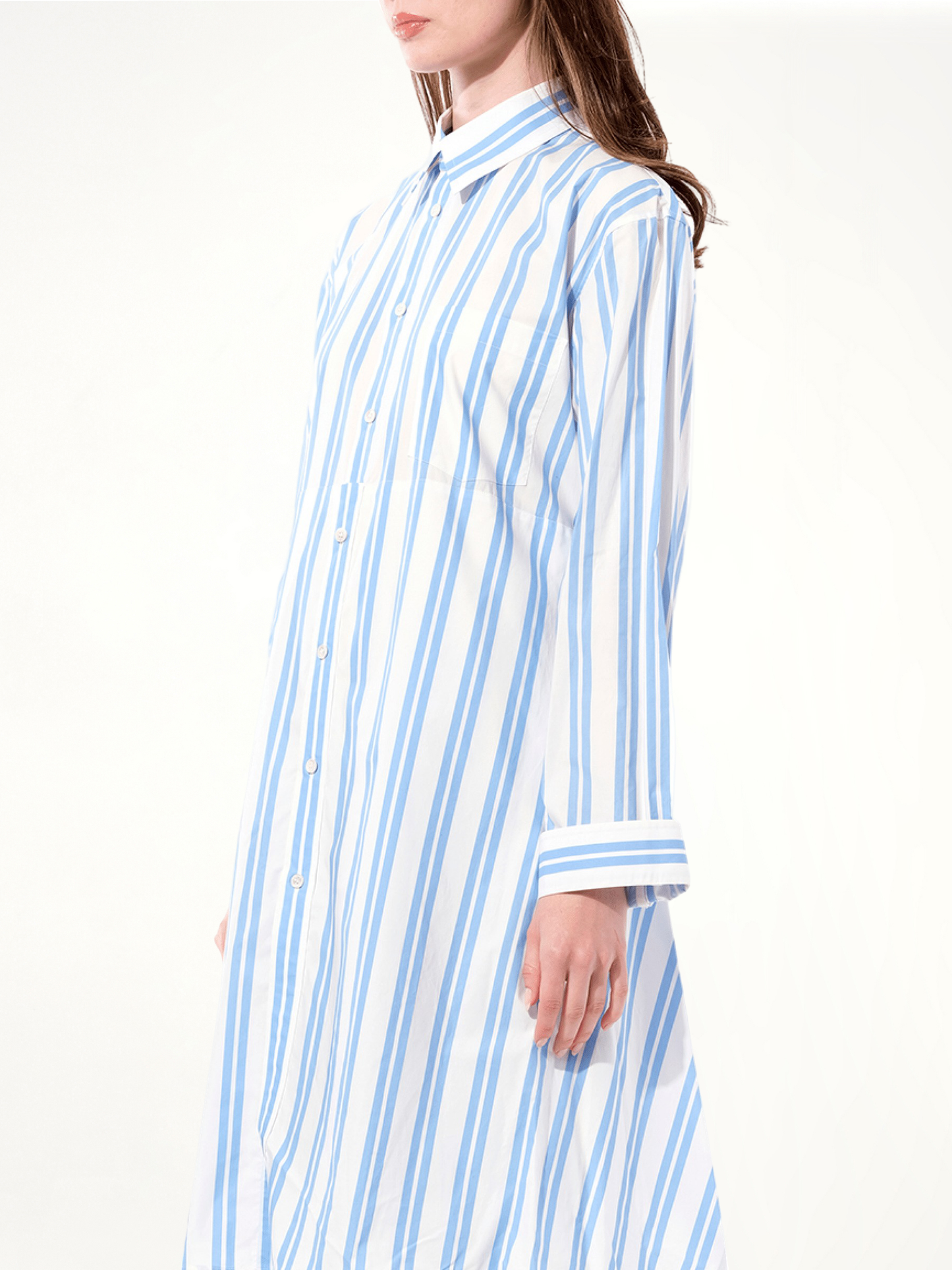 BALENCIAGA Chilie Dress (Blue)