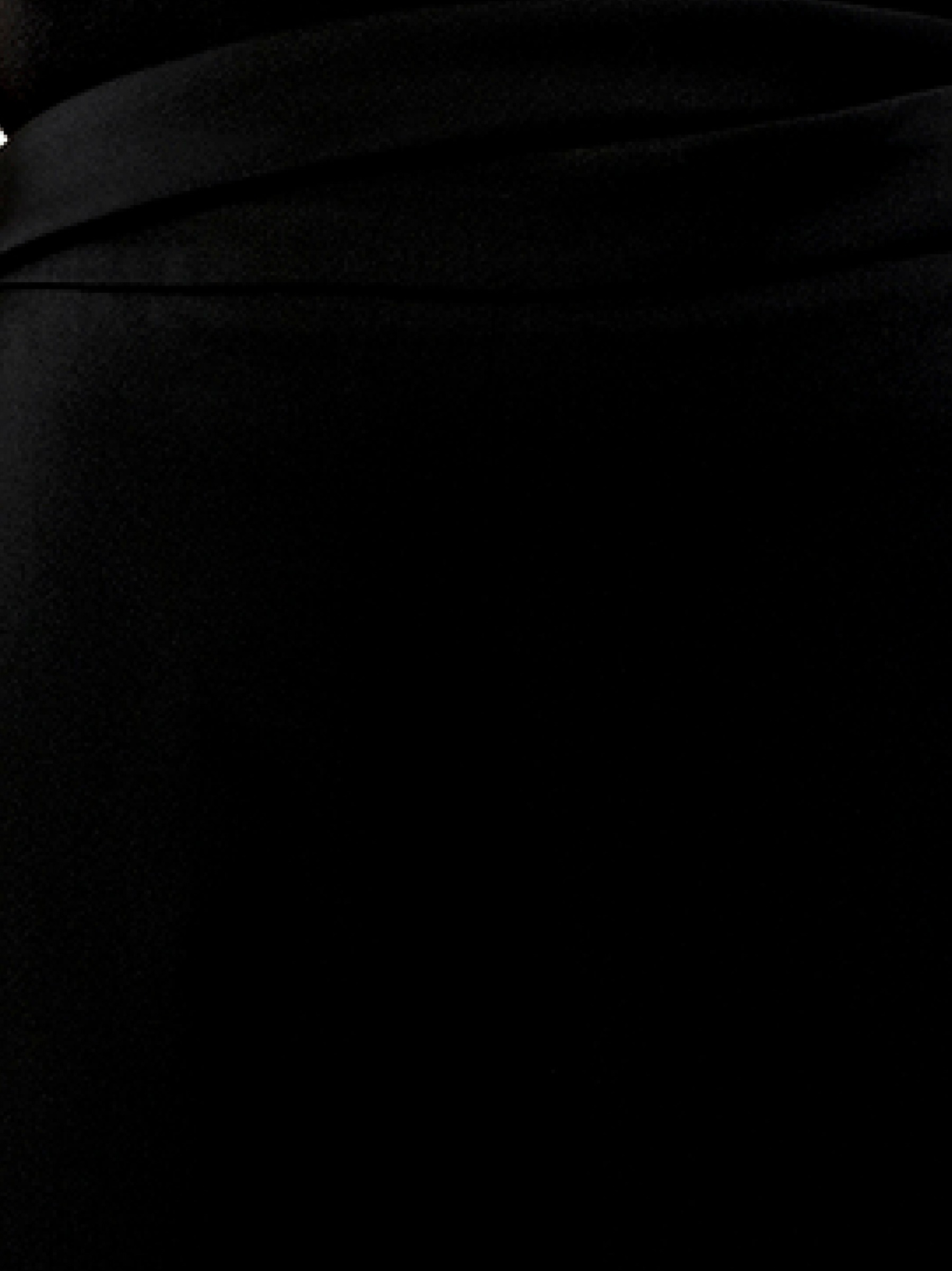 BALENCIAGA Lainage Pants (Black)