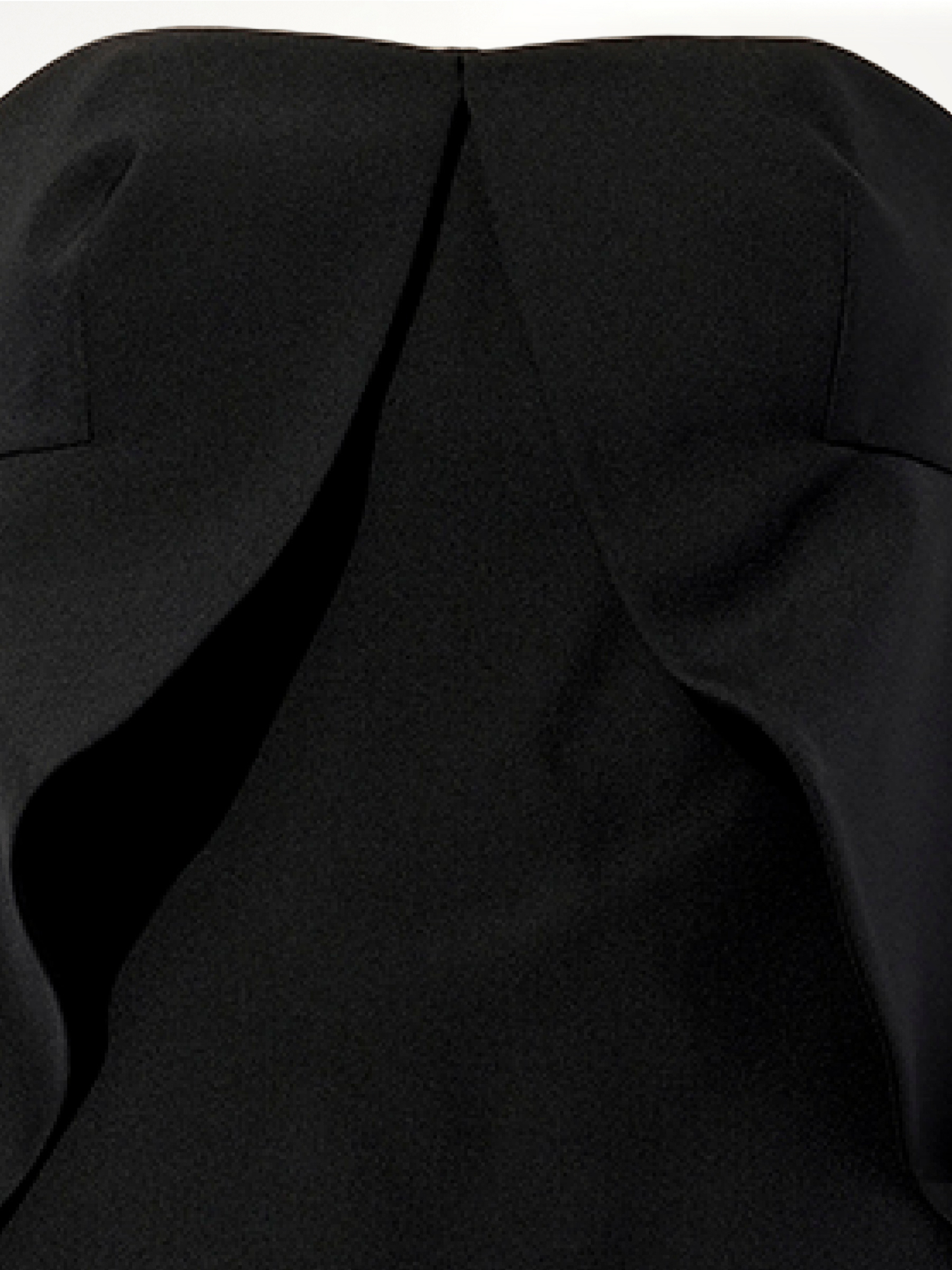 BALENCIAGA Swan Dress (Black)