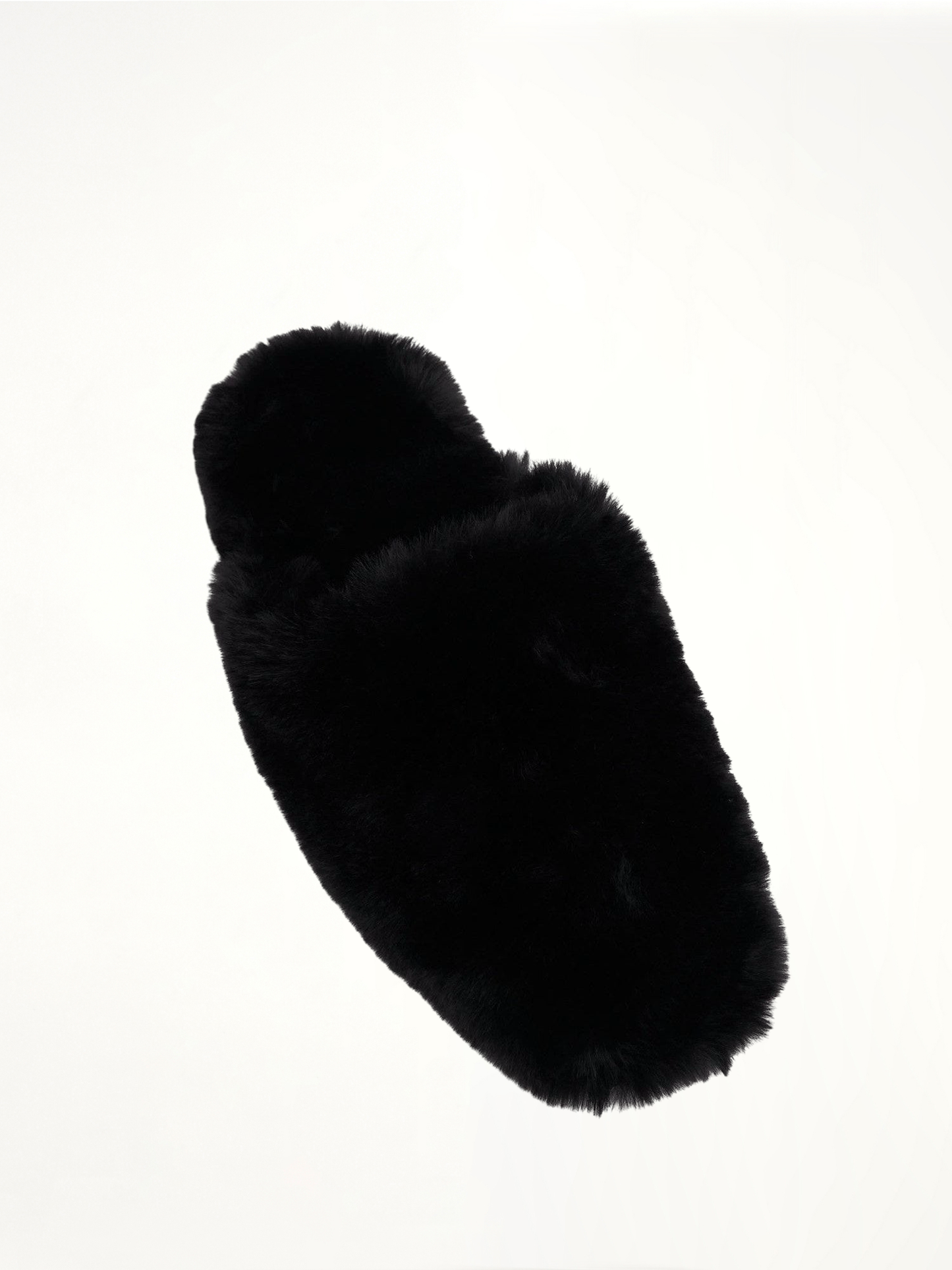 BALENCIAGA Teddy Mule (Black)