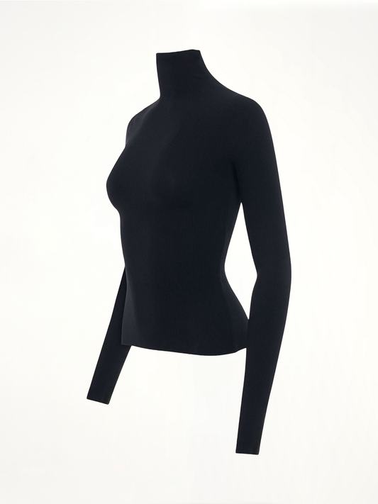 BALENCIAGA Turtleneck Sweater (Black)