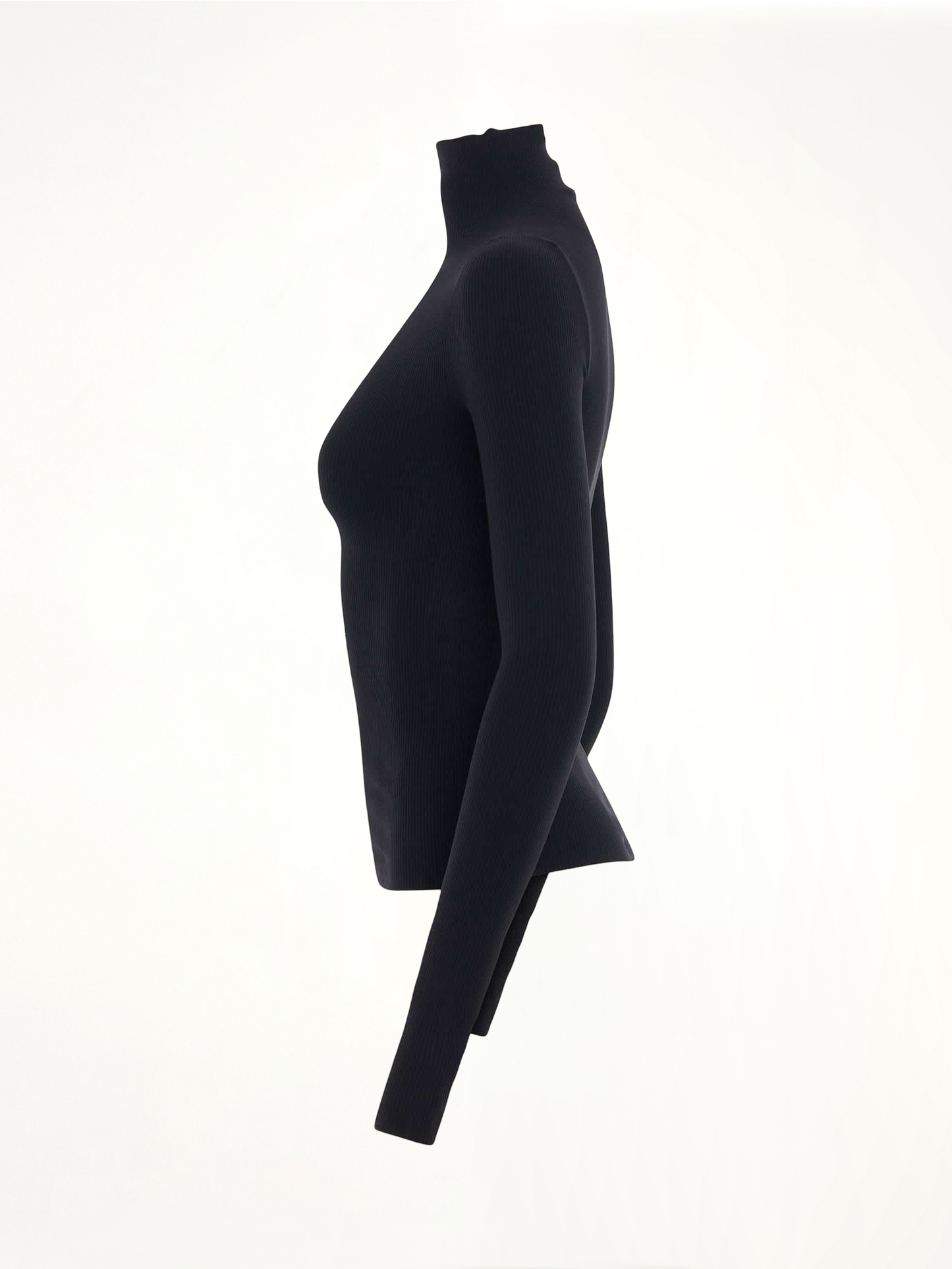 BALENCIAGA Turtleneck Sweater (Black)