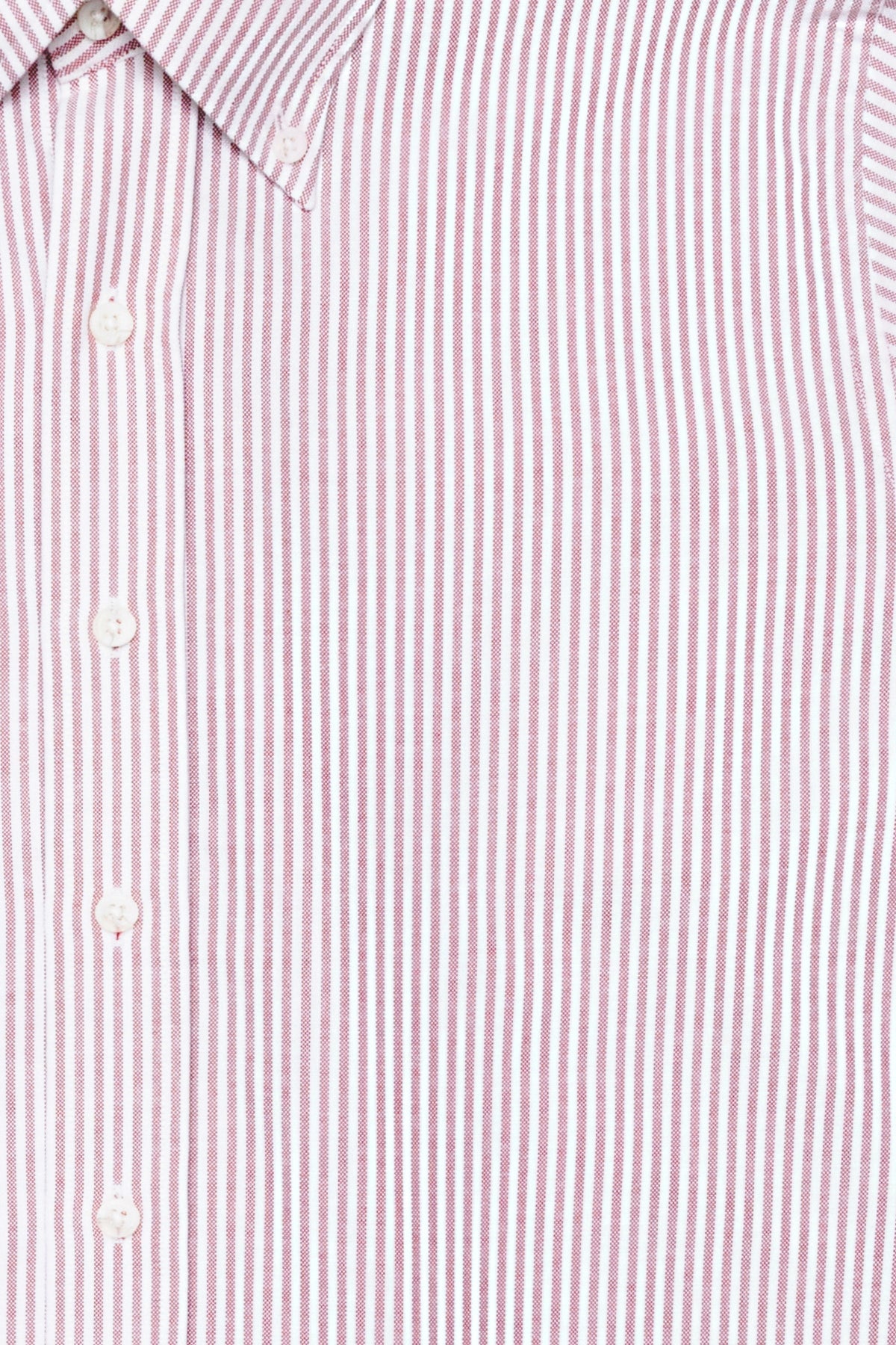 Anthony Squires Dexter Stripe (Burgundy)