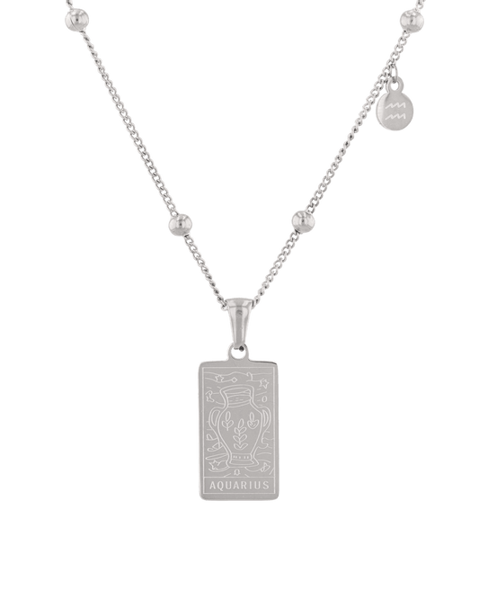 Image of Necklaces. Product name - Aquarius Silver Zodiac Tag Necklace in colour by brand - LAVANA