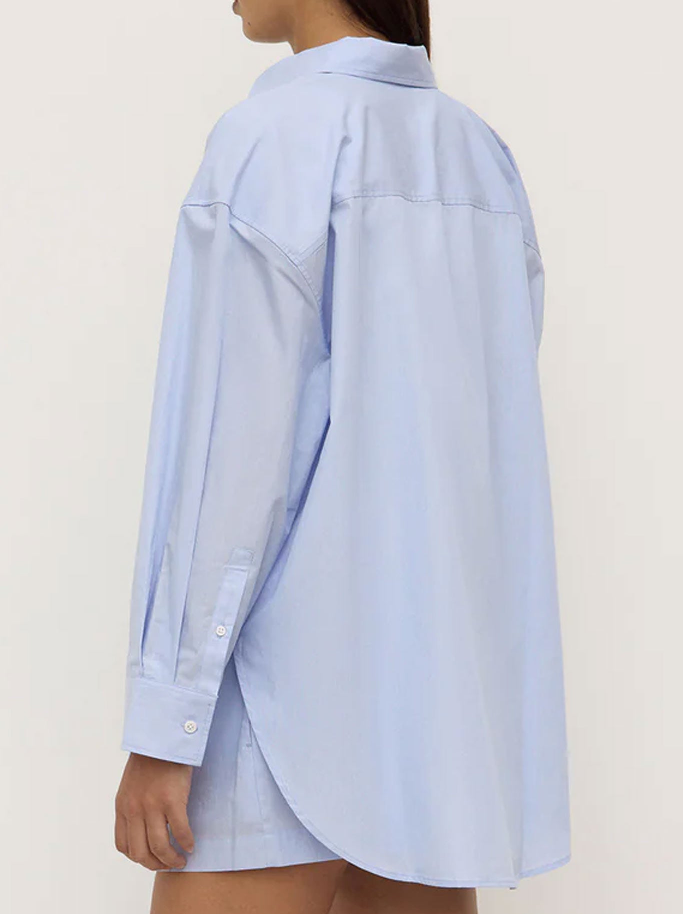 ASSEMBLY LABEL HAVANA STRIPE LONG SLEEVE SHIRT (Blue White Stripe)