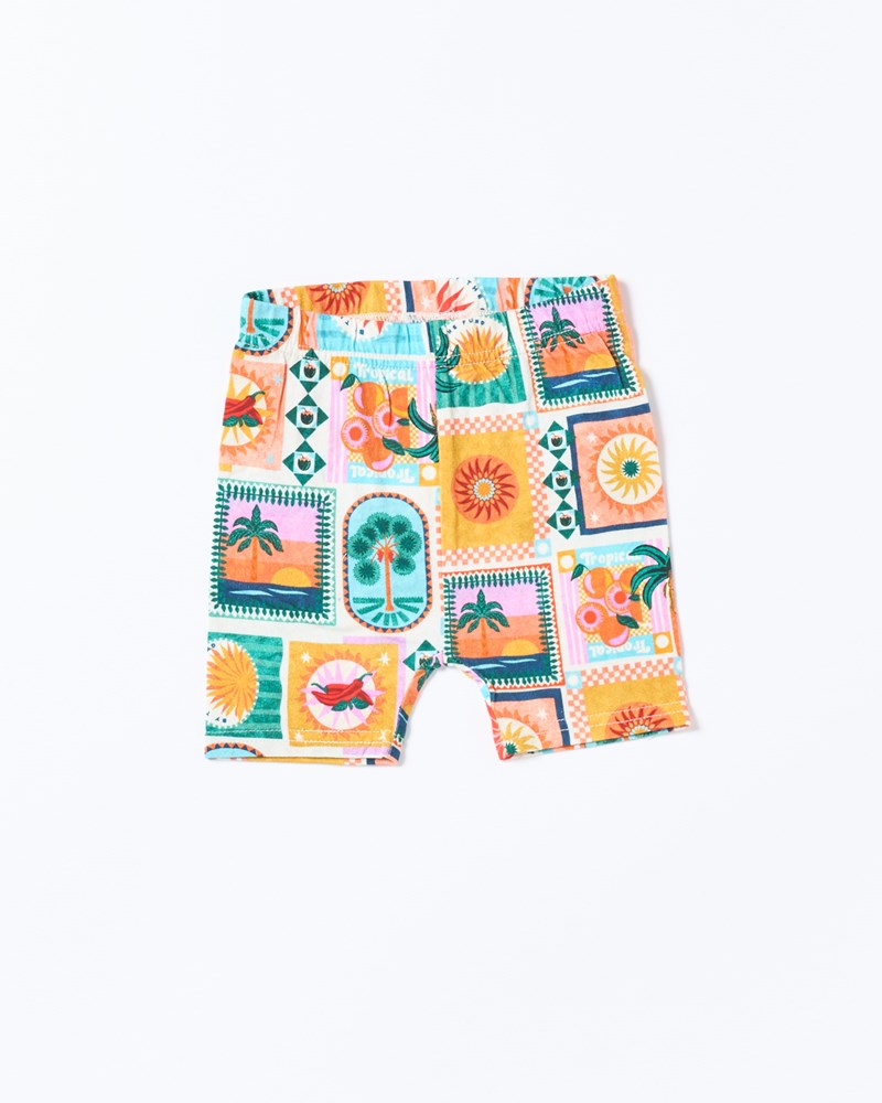 Image of a model wearing Shorts. Productname: Walnut Melbourne Astrid Short in Spicy Summer colour by brand - Walnut Melbourne