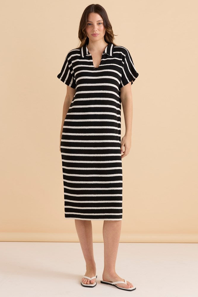 Betty Basics Bradford Knit Polo Dress (Cream/Black)