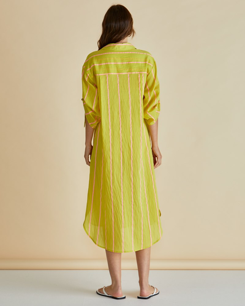 Betty Basics Hayman Shirt Dress (Yellow/Pink Stripe)