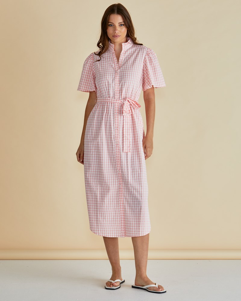 Image of Dresses. Productname: Betty Basics Immie Dress Pink Gingham in Pink Gingham colour by brand - Betty Basics