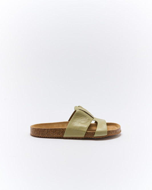 Image of Slippers. Productname: Walnut Melbourne Bay Leather Slide in Sage colour by brand - Walnut Melbourne