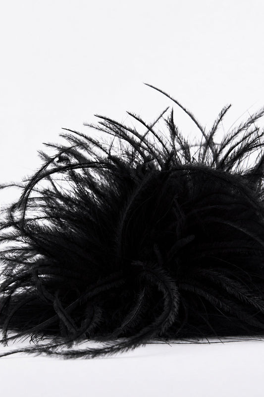 Carla Zampatti Feather Brooch (Black)