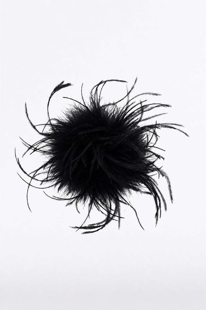 Image of Accessories. Product name - Black Feather Brooch in Black colour by brand - Carla Zampatti