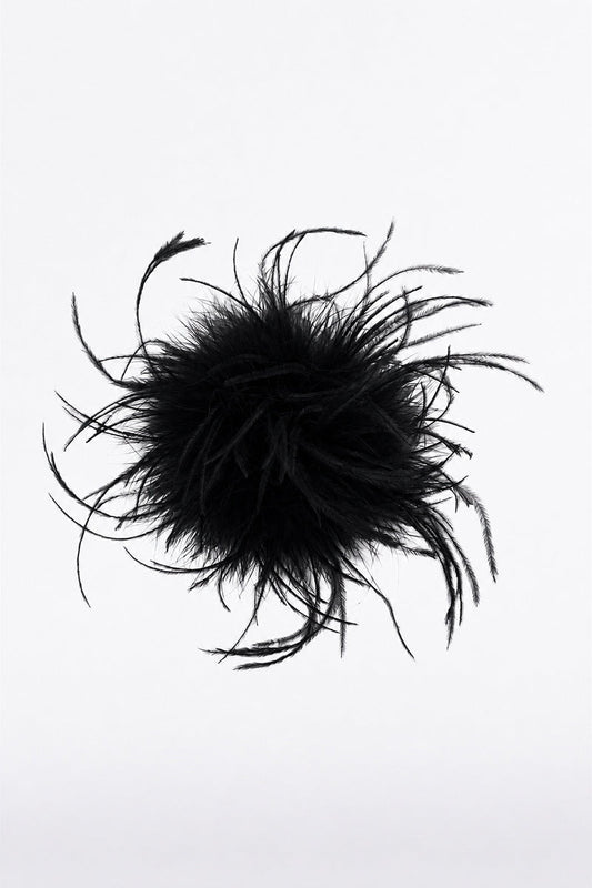 Image of Accessories. Product name - Black Feather Brooch in Black colour by brand - Carla Zampatti