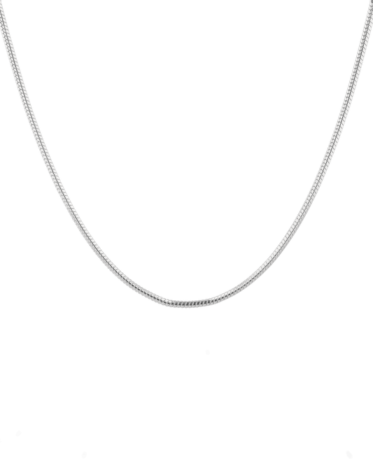 Image of Necklaces. Product name - Cali Silver Snake Chain Necklace in colour by brand - LAVANA