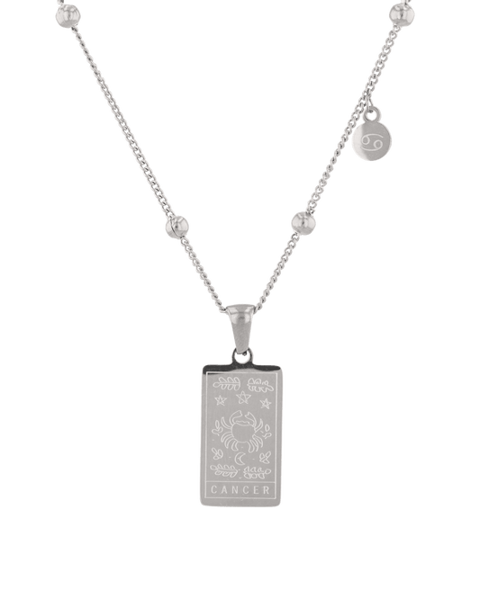 Image of Necklaces. Product name - Cancer Silver Zodiac Tag Necklace in colour by brand - LAVANA