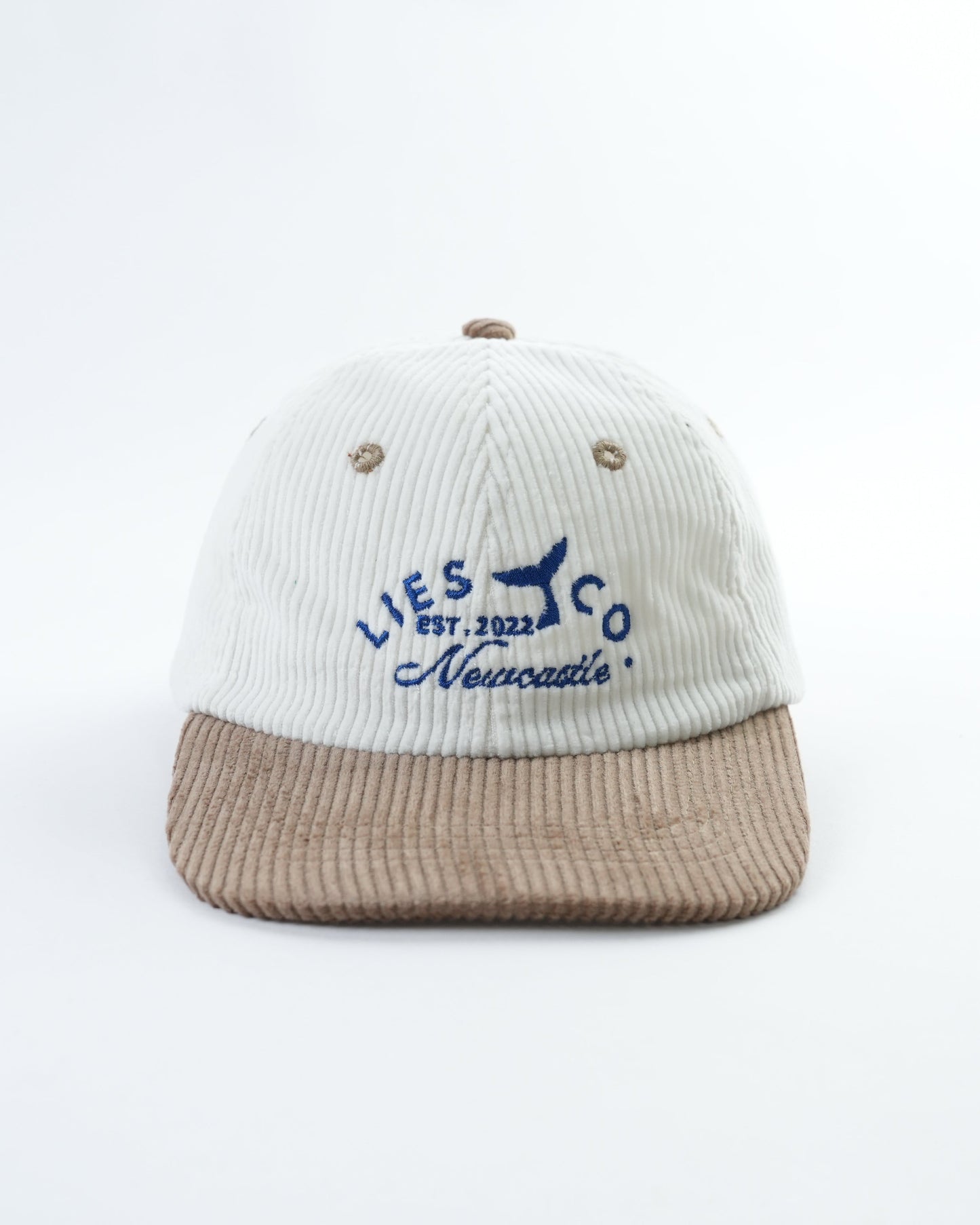 Whale Tail Mini Hat