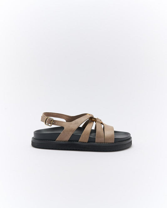 Image of Sandals. Productname: Walnut Melbourne Dulce Leather Sandal in Mushroom colour by brand - Walnut Melbourne
