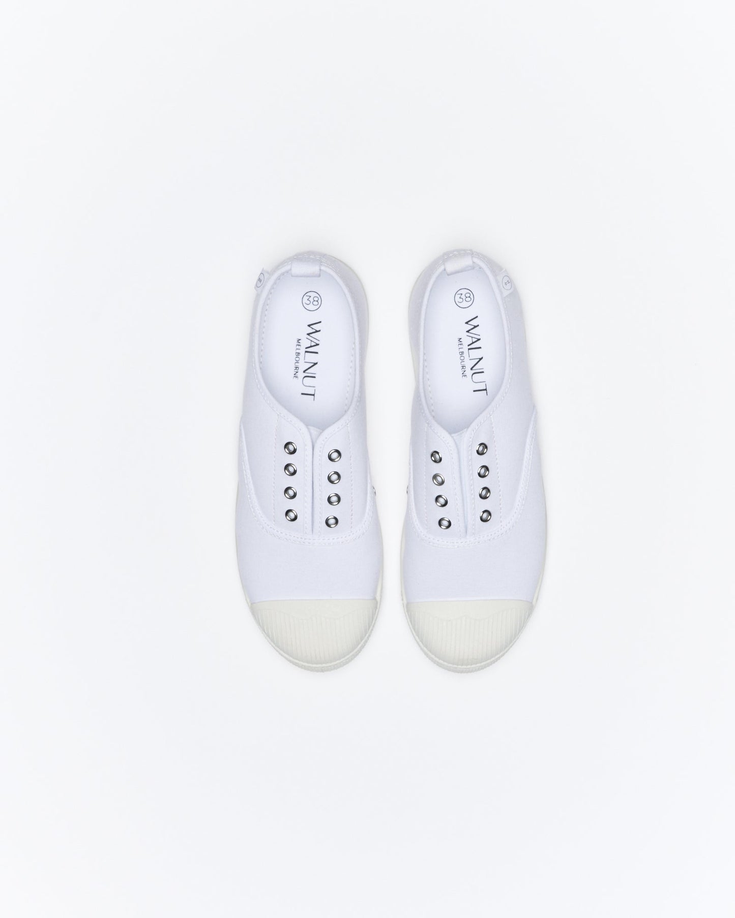 Walnut Melbourne Euro Canvas Plimsole (White)