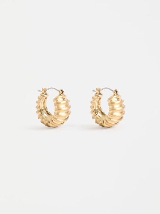 Image of Earrings. Productname: ELK ELLIN HOOP EARRING in Gold colour by brand - Elk