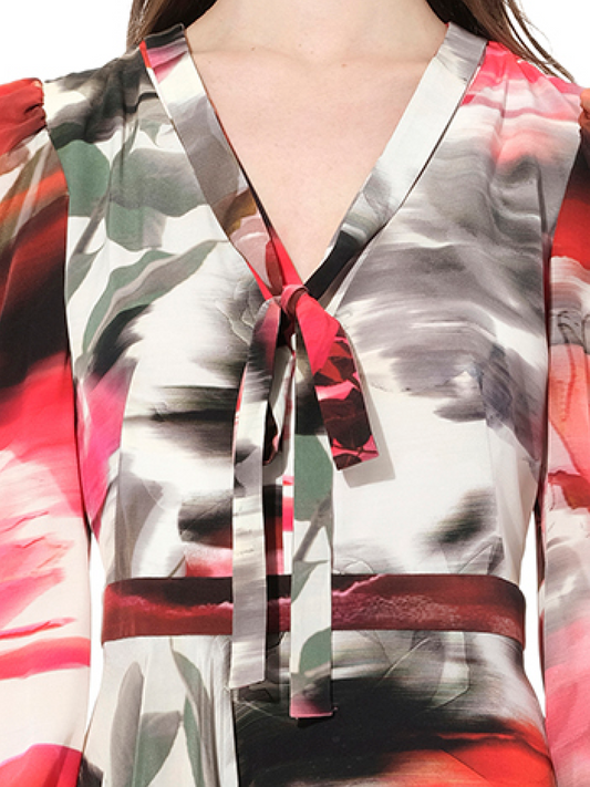 ALEXANDER MCQUEEN Rose Crepe De Chine Dress (Red)