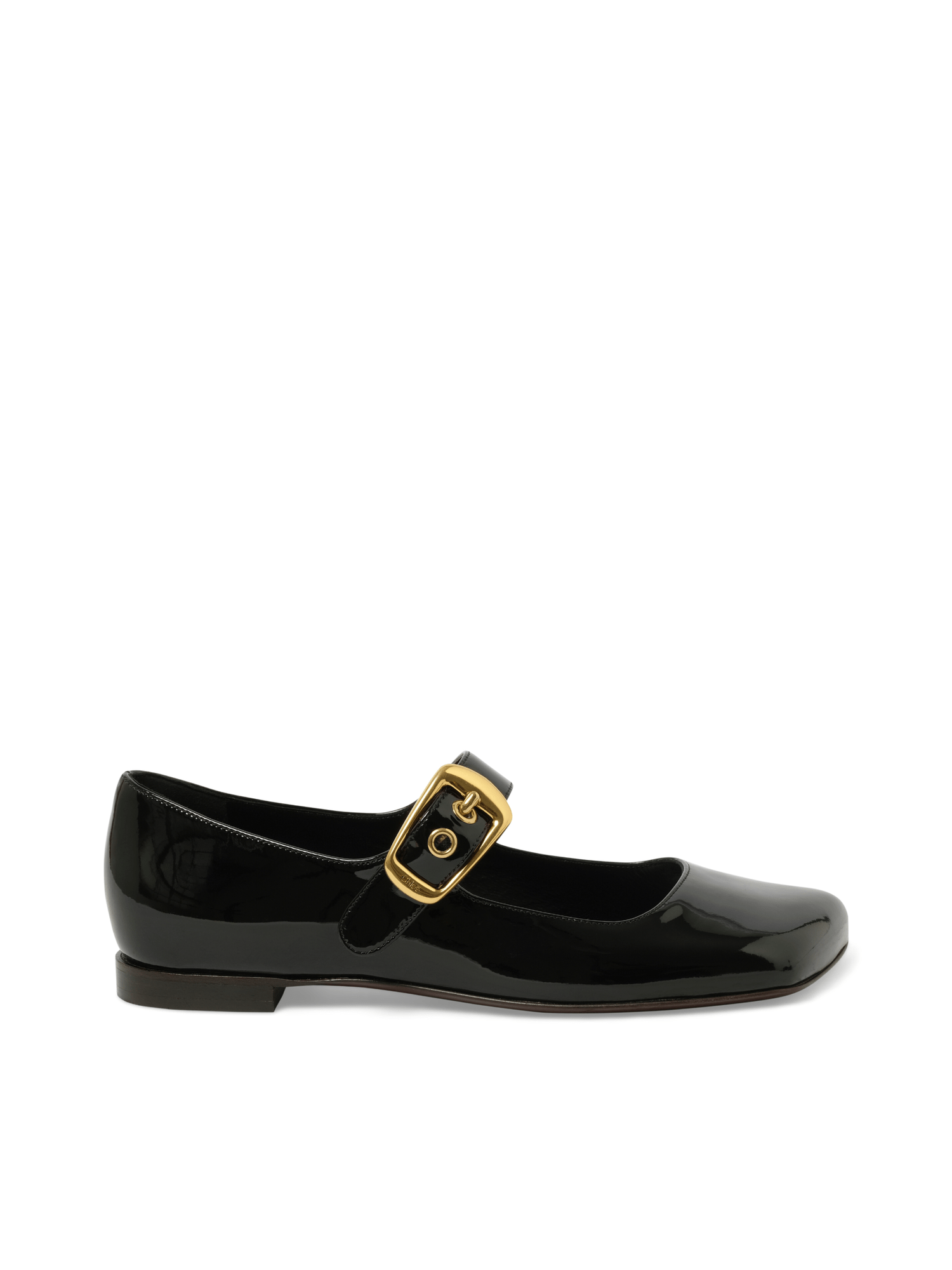 Image of Flats. Productname: CHLOE Polly Flat Sandals in Black colour by brand - CHLOE