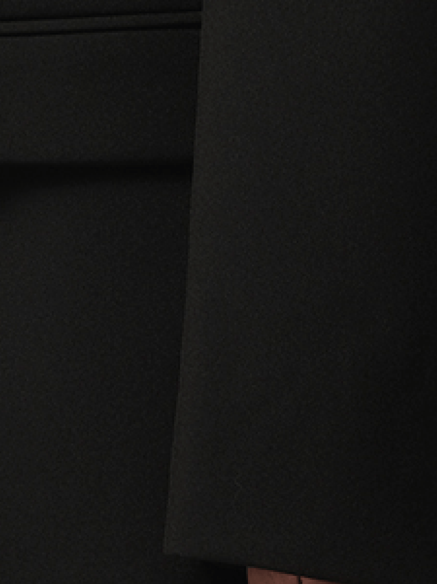 COPERNI Double Breasted Tailored Jacket (Black)