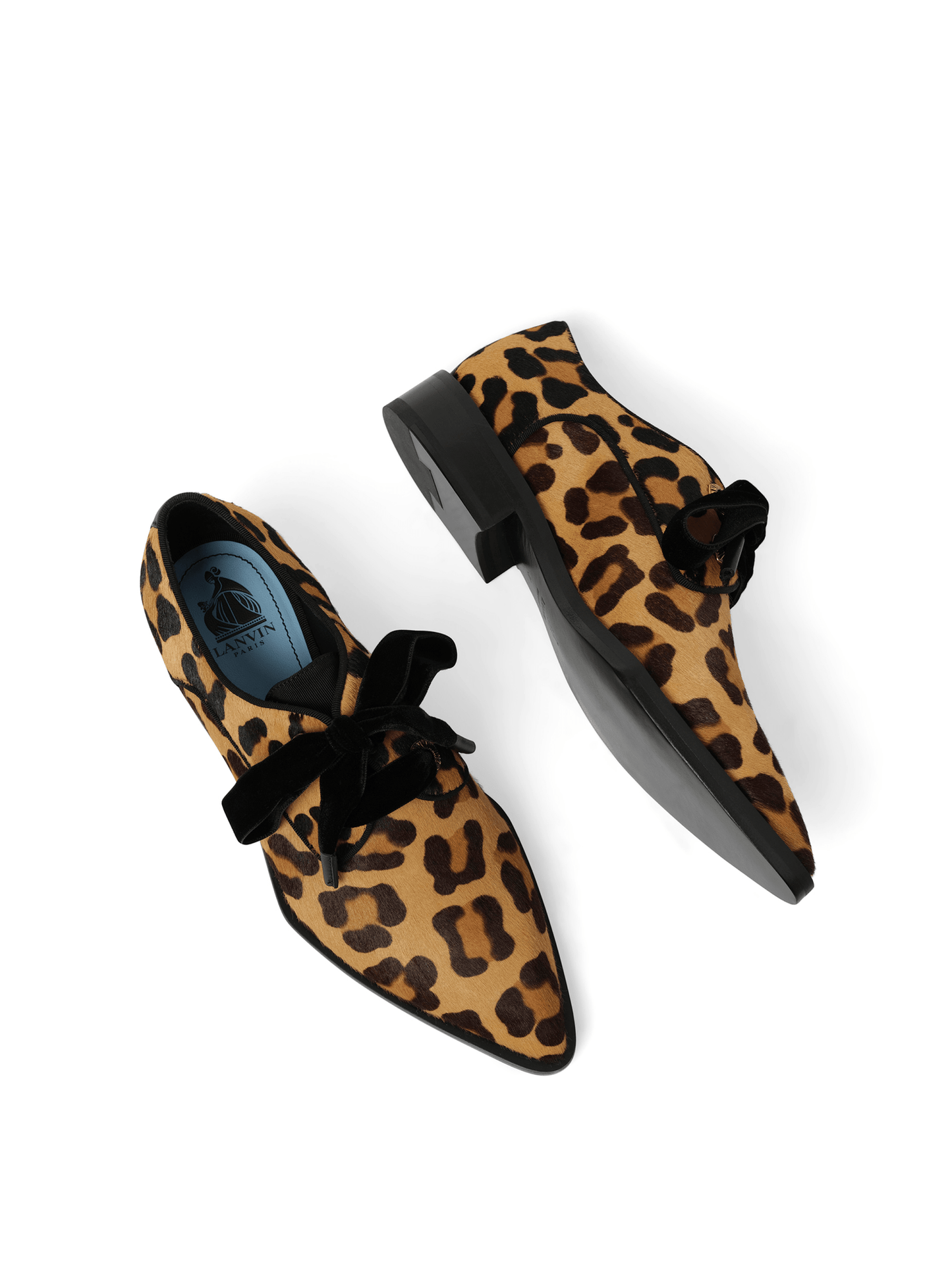 LANVIN Eyelet Derby (Natural)