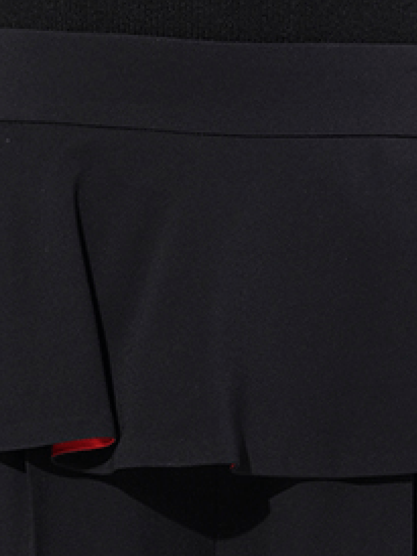 ALEXANDER MCQUEEN Leaf Crepe Pant (Black)