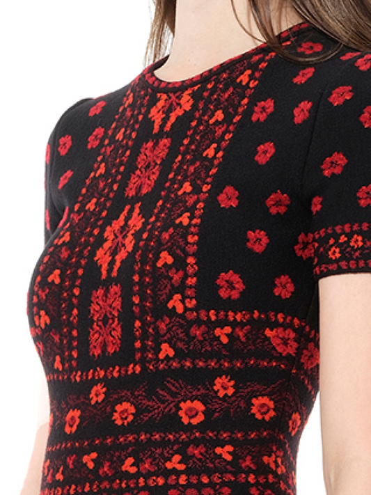 ALEXANDER MCQUEEN Flower Jacquard Dress (Black Red)