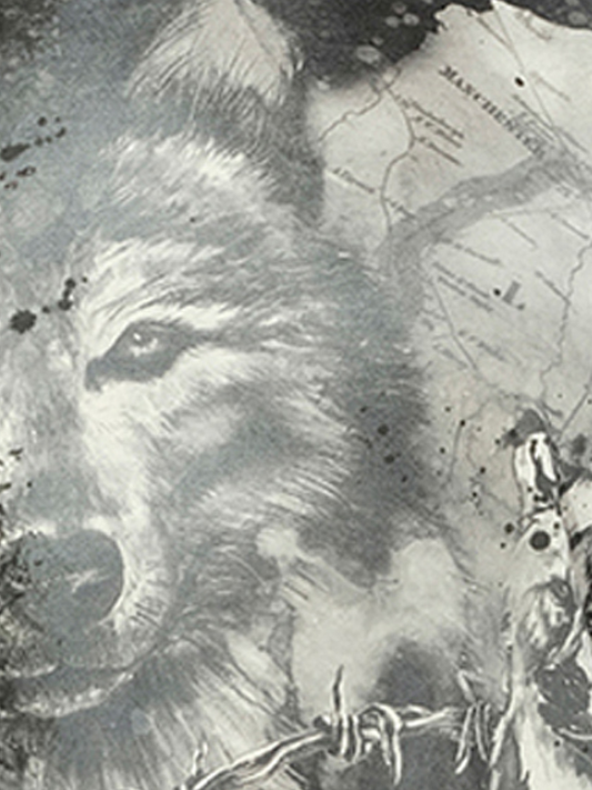 BALMAIN Wolf T-Shirt (Black)
