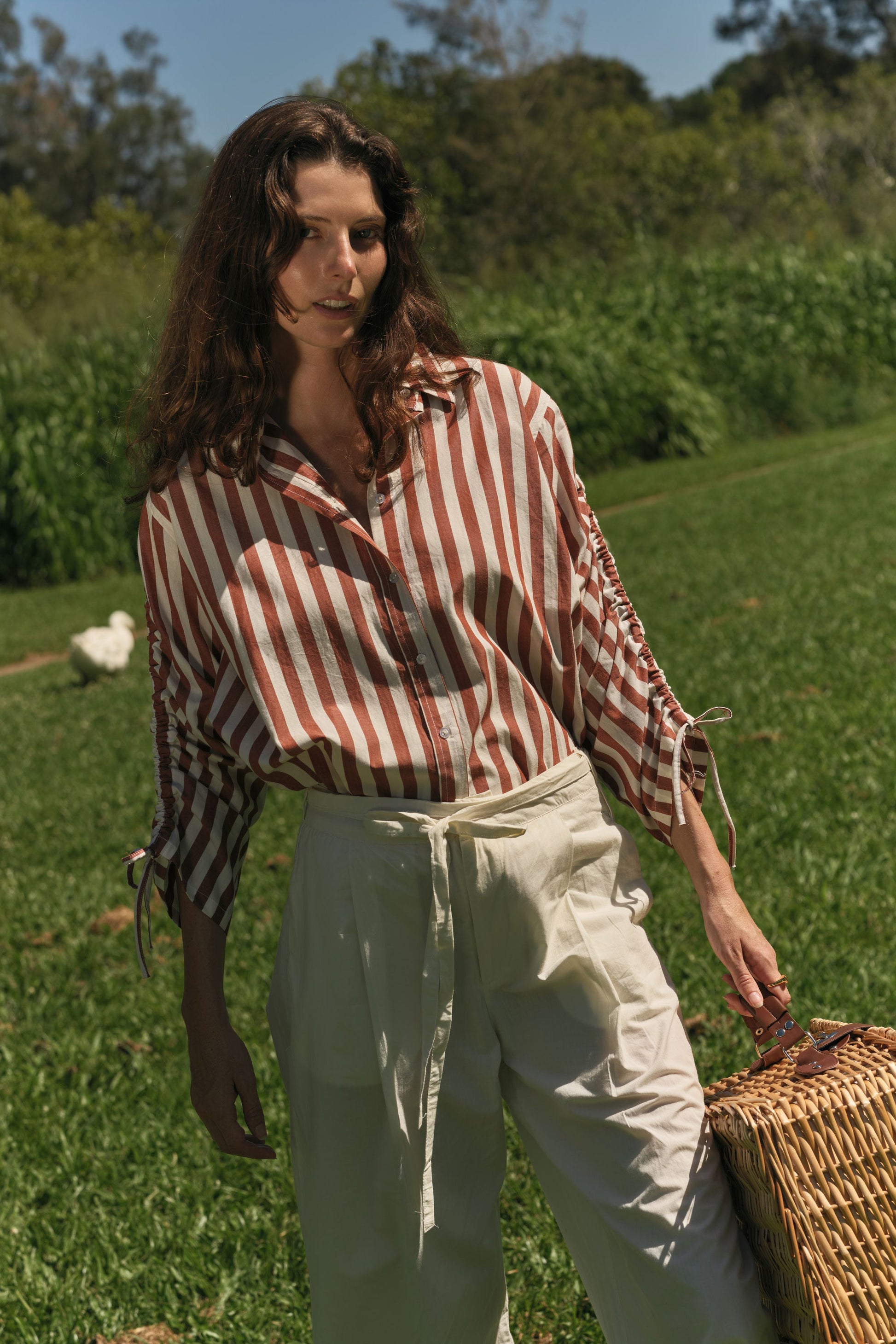 Image of Shirts. Product name - Giliann Pierre Shirt Stripe in Stripe colour by brand - Giliann