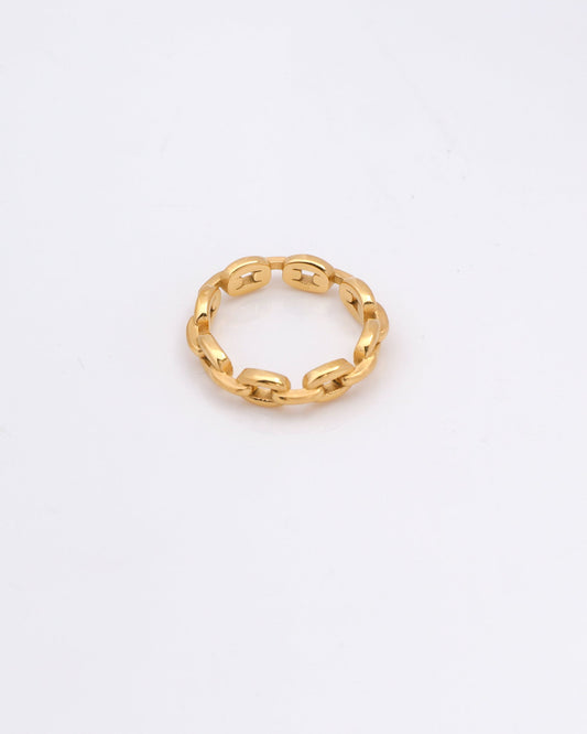 Image of Accessories. Productname: Alia Gold Chain Ring in Gold colour by brand - Heychic