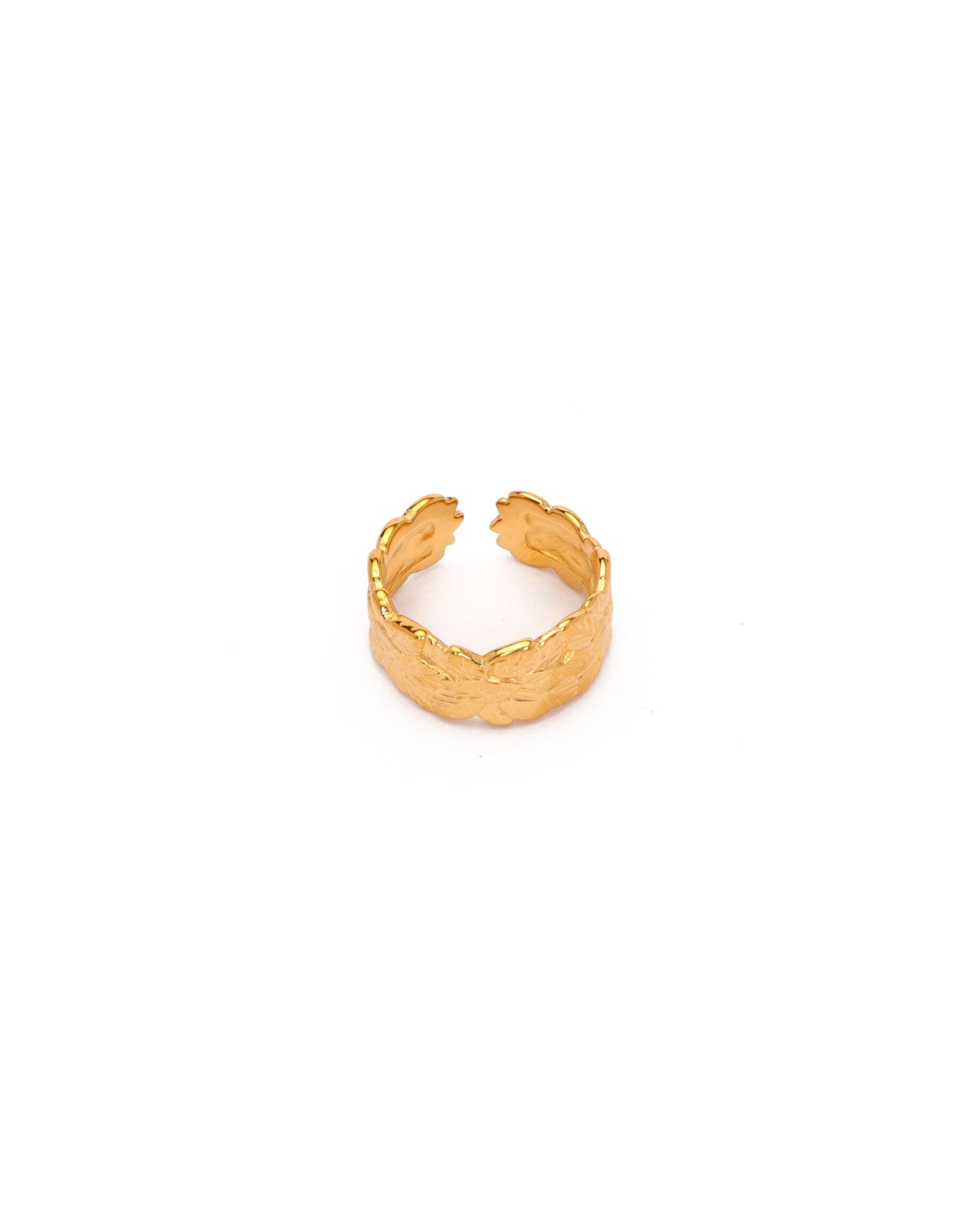 Image of Accessories. Productname: Laurel Gold Ring in Gold colour by brand - Heychic