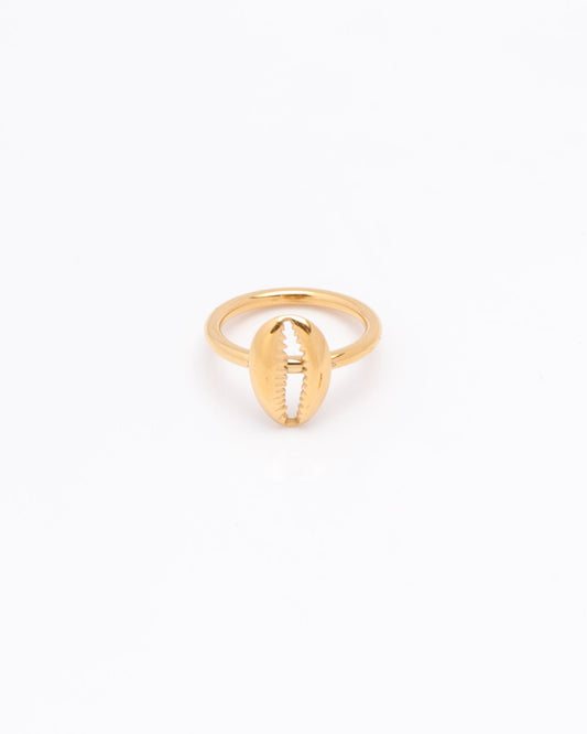 Image of Accessories. Productname: Oceanna Gold Shell Ring in Gold colour by brand - Heychic