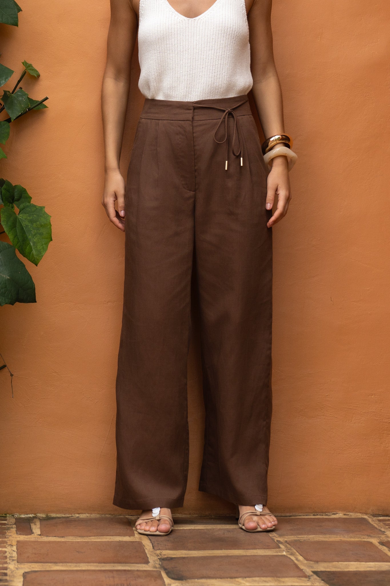 HEYCHIC Adela Tie Detail Pants (Brown)