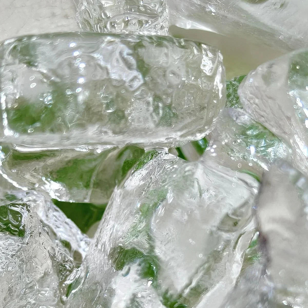 Polished London Mint Dental Floss