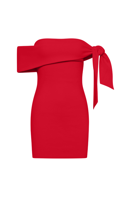 SNDYS Jaymes Mini Dress (Red)