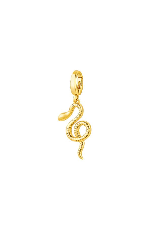 Image of Charms. Productname: Jewel Citizen | Medusa Charm in Charm colour by brand - Jewel Citizen