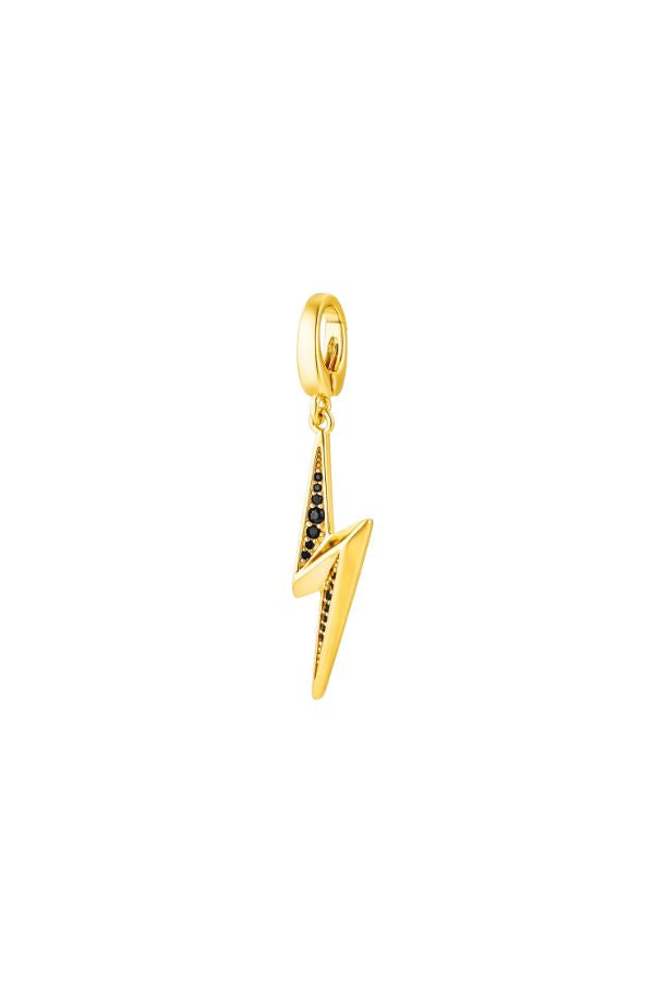 Image of Charms. Productname: Jewel Citizen | Riddel Charm in Charm colour by brand - Jewel Citizen