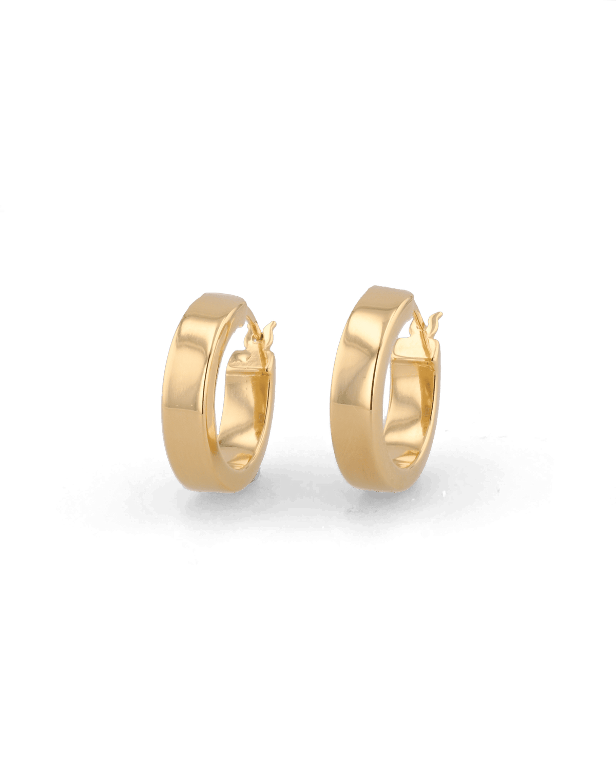 Image of Earrings. Product name - Luna Gold Hoop Earrings in colour by brand - LAVANA