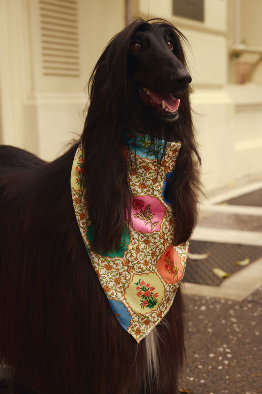Image of Scarves & Shawls. Product name - Rubyyaya Marigold Scarf Multi in Multi colour by brand - Rubyyaya