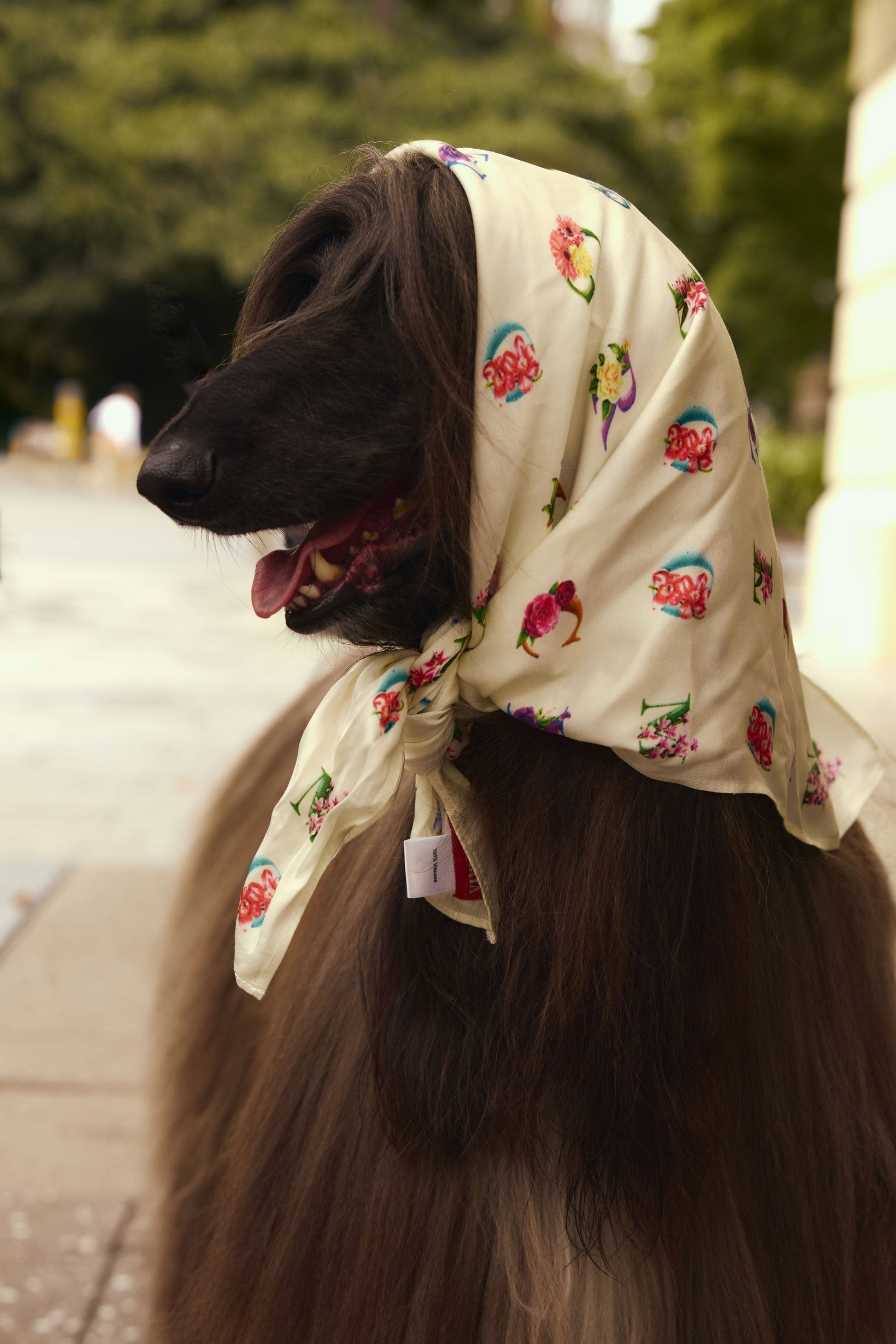 Image of Scarves & Shawls. Productname: Rubyyaya Love Bloom Scarf Cream in Cream colour by brand - Rubyyaya
