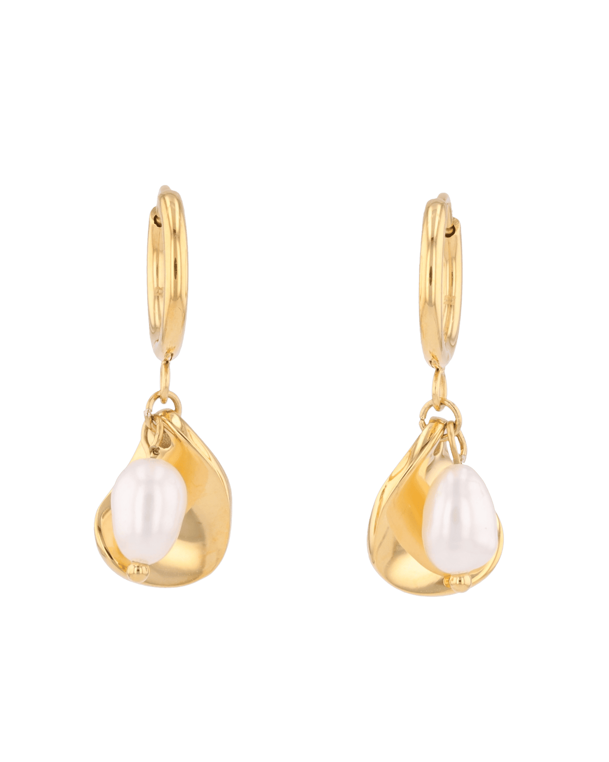 Image of Earrings. Product name - Maxime Gold Pearl Earrings in colour by brand - LAVANA