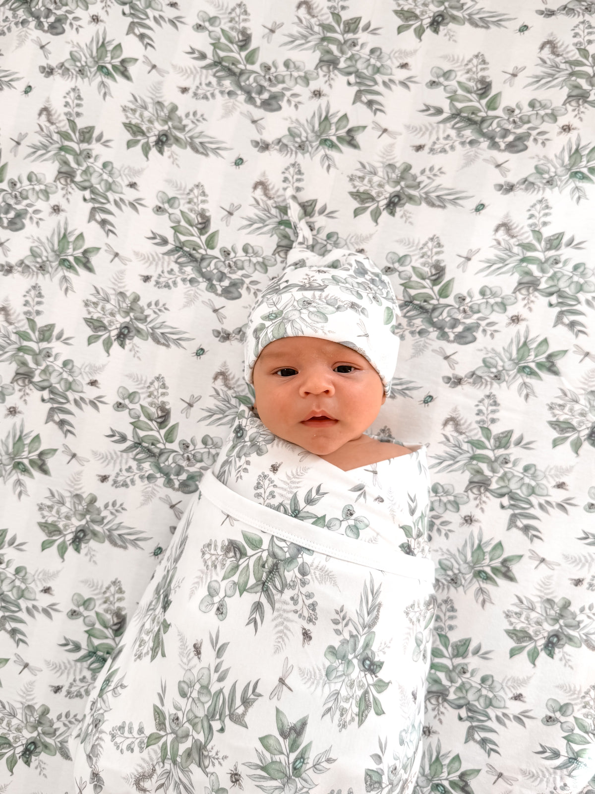 Snuggle Bug Organic Cot Sheet