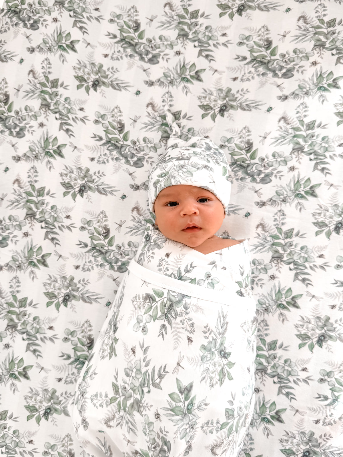 Snuggle Bug Organic Cot Sheet