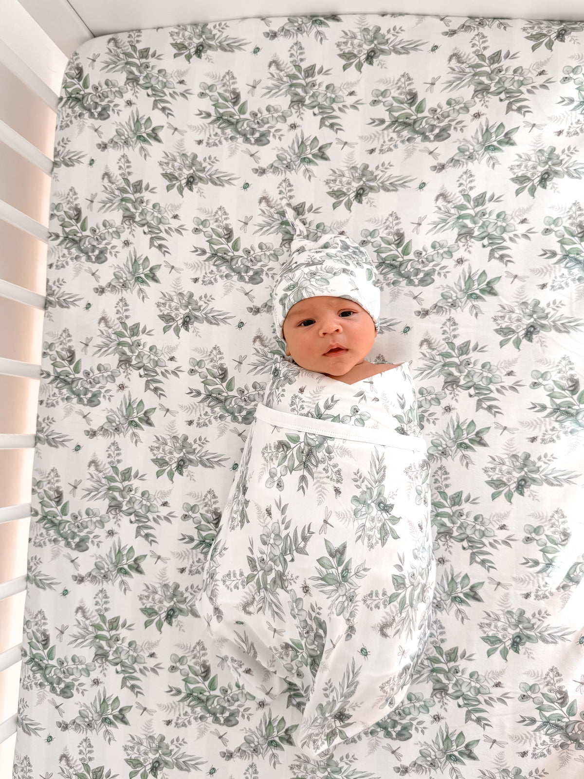 Snuggle Bug Organic Cot Sheet