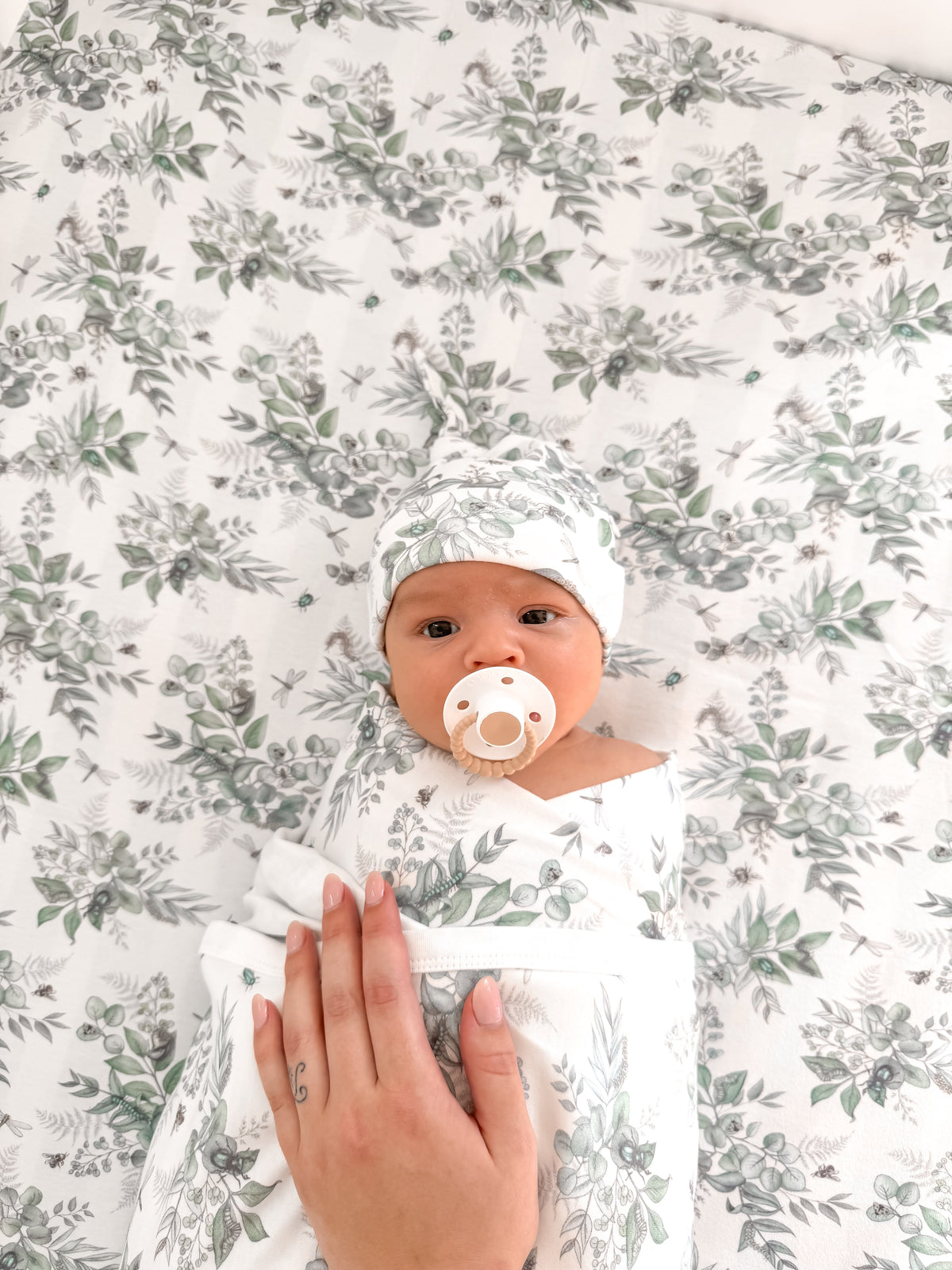 Snuggle Bug Organic Cot Sheet