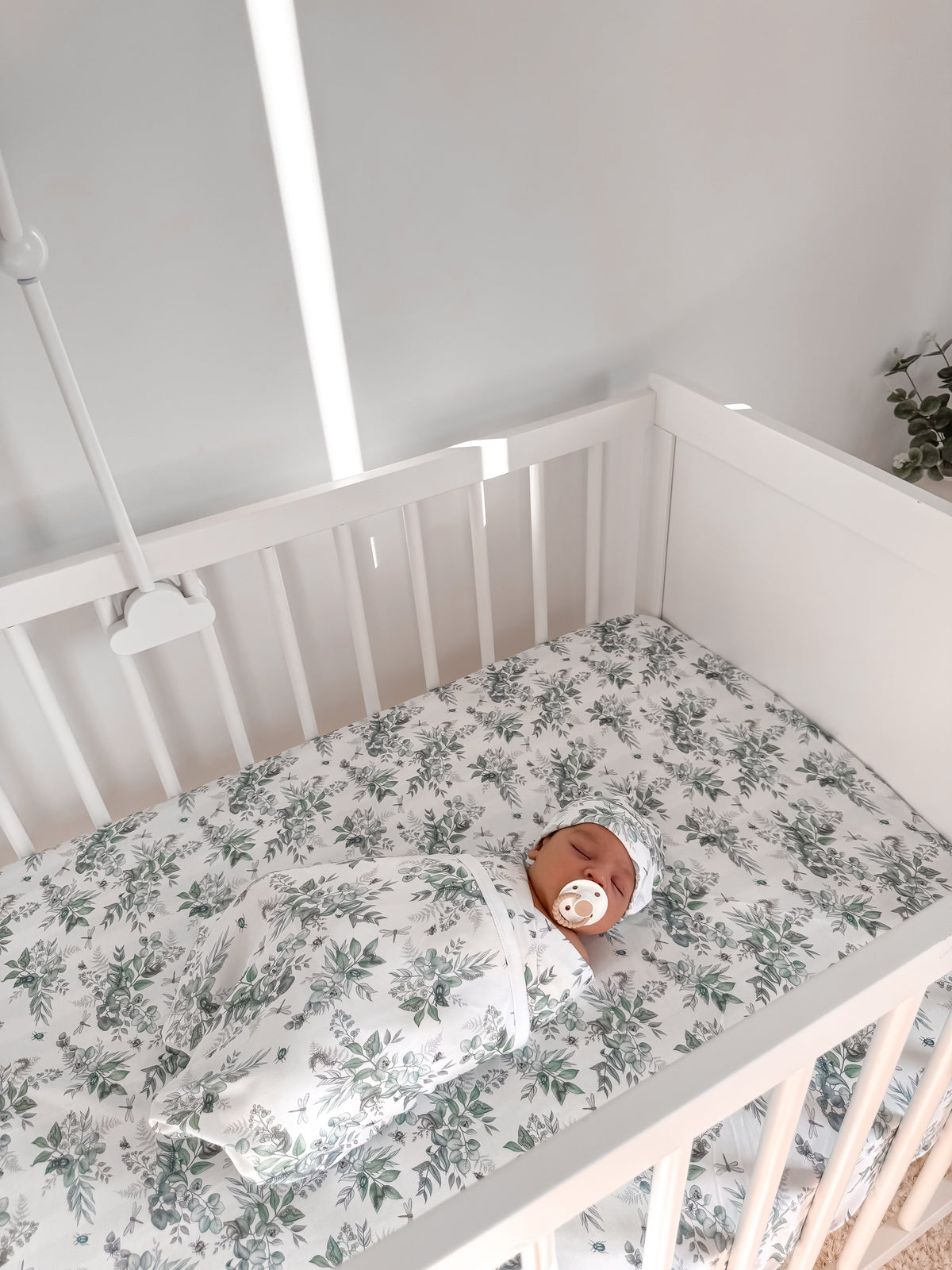 Snuggle Bug Organic Cot Sheet