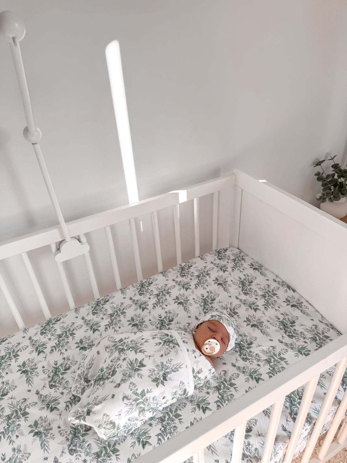 Snuggle Bug Organic Cot Sheet
